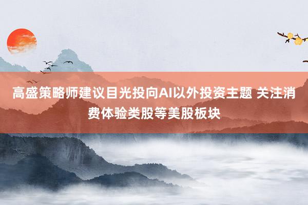 高盛策略师建议目光投向AI以外投资主题 关注消费体验类股等美股板块
